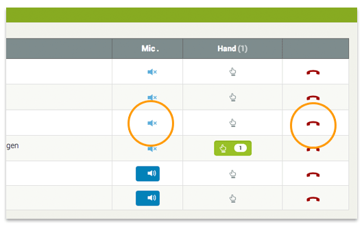 conference call mute all participants in your webcontrol